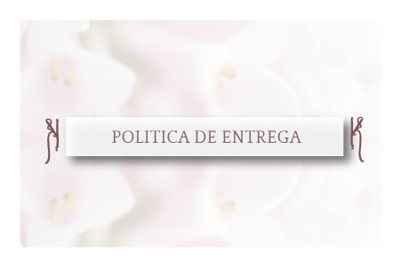 Politica de Entrega